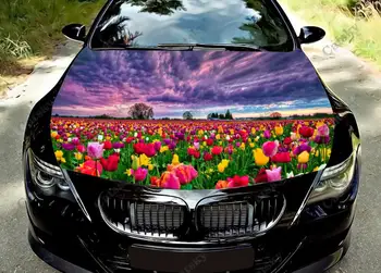 Tulip Fields Sunset Sky Car Hood Protect Vinly Wrap Наклейка Наклейка Автоаксессуары Украшение Крышка двигателя для внедорожного пикапа