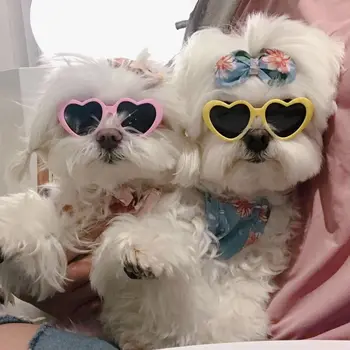 Симпатичные солнцезащитные очки для собак Очки для кошек Очки для сердца и подсолнечника для мальтийской болонки Хироми Пудель Йоркшир для маленьких собак Аксессуары для кошек